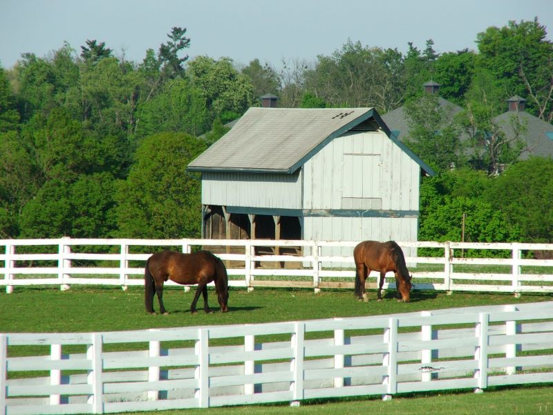 Barn Roof Construction in Fredericksburg, VA